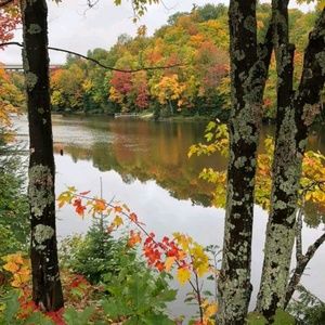 Meet your Posher, Ann